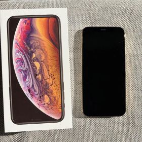 Apple iPhone 12 Pro 256GB SIMフリー