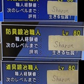 職人産ゴールド 3000万～5億G | ドラクエ10(DQX)のアカウントデータ、RMTの販売・買取一覧