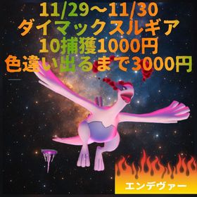 アレックス様専用 | ポケモンGOのアカウントデータ、RMTの販売・買取一覧