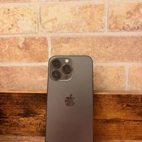 Apple iPhone 13 Pro グラファイト SIMフリー