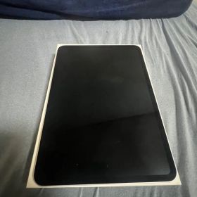 iPad Pro11 インチ第5世代（最新）M4 Wi-Fi 256GB