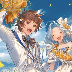 石+券合計ガチャ約1900回分+SSRとチケット200枚前後 初期アカウント | グラブルのアカウントデータ、RMTの販売・買取一覧