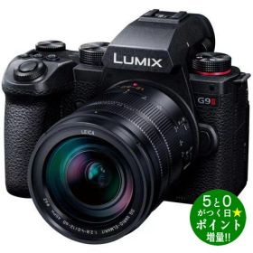 ◆最大3000円CP＋P3倍！！12/5◆パナソニック カメラ ミラーレス一眼カメラ 標準ズームレンズキット LUMIX Gシリーズ DC-G9M2 Panasonic【転送不可】
