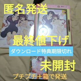 「匿名発送」ソフィーのアトリエDX ソフィーのアトリエ2DX ゲオ限定版 セット