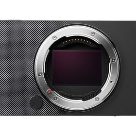 Sigma BF ボディ [ブラック]