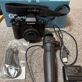 【美品】Panasonic LUMIX DC-G100V