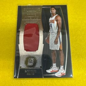 DE’ANTHONY MELTON 18-19 DOMINION JERSEY