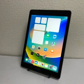 iPad（第5世代）128GB Wi-Fiモデル スペースグレイ No.29