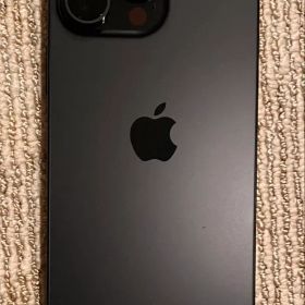 【極美品】iPhone 15 Pro Max 512GB （フランスモデル）