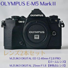 【美品・シャッター回数1178回】オリンパス OM-D E-M5 Mark II
