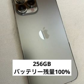 iPhone13Pro Max 256GB