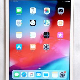 iPad mini 3 Cellular モデル16GB ※即発送