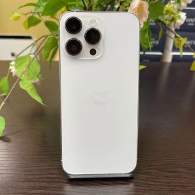 iPhone 14ProMax 256GB シルバー Apple Store SIMフリー送料無料