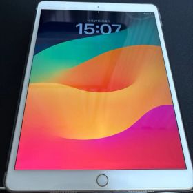 iPad Pro 10.5インチ 256GB Wifiモデル 付属品あり