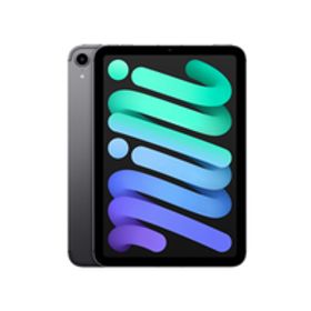 Bランク iPad mini 第6世代 256GB スペースグレイ SIMフリー