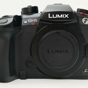 パナソニック Panasonic ミラーレス一眼 ボディ フォーサーズ LUMIX DC-GH5S