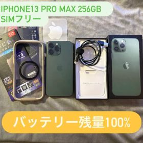 iPhone 13 Pro Max 256GB