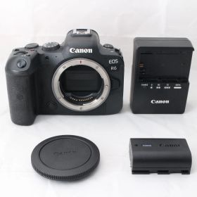 ☆良品・ショット数29000☆ Canon ミラーレス一眼カメラ EOS R6 ボディ キヤノン #4356