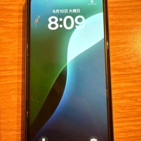 iPhone12 Pro 本体 256GB バッテリー73%