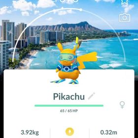 【おかか様専用】 | ポケモンGOのアカウントデータ、RMTの販売・買取一覧