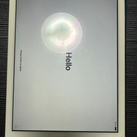 iPad Air第1世代シルバー 本体 カバー付き