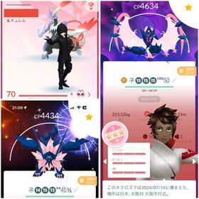 最強引退垢 リリース日開始 色違いホウオウ100など高個体・色違い多数‼️ | ポケモンGOのアカウントデータ、RMTの販売・買取一覧