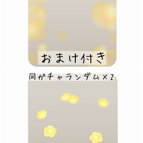 【おまけ付き】聖夜の温かな光、クリスマスローズデコレーション | リヴリーアイランドのアイテム、RMTの販売・買取一覧