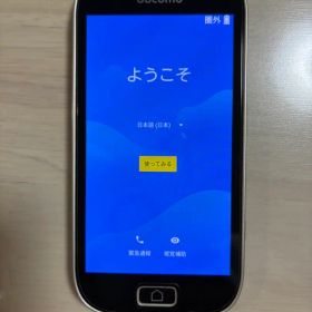 docomo F-03K シルバー 花柄ケース付き