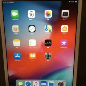 iPad mini2 32G ドコモ IMEI 〇 画面ジャンク！＋ おまけ」