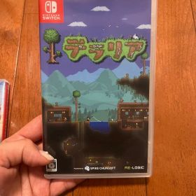 テラリア NintendoSwitch カセット