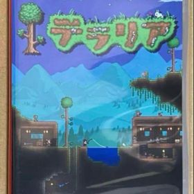 テラリア Nintendo Switch ニンテンドースイッチ 動作確認済①