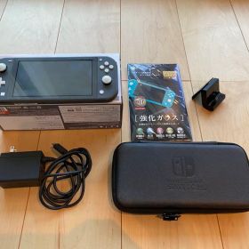 Nintendo Switch Lite 本体+オプションセット_スイッチライト