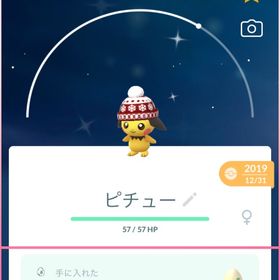 【超希少】確定キラ(2019年産) ニット帽色違いピチュー︎︎ ♀ 非対面トレード | ポケモンGOのアカウントデータ、RMTの販売・買取一覧