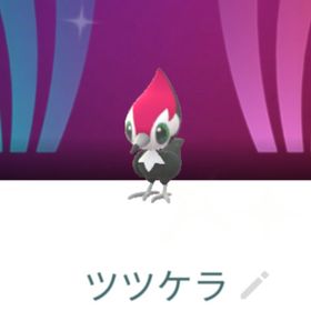 9727【PTC】国産！色違いツツケラ スペシャル背景 | ポケモンGOのアカウントデータ、RMTの販売・買取一覧