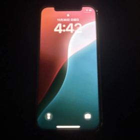 Apple iPhone 12 Pro グラファイト