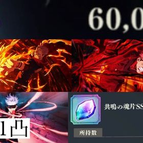 廻珠60020【初期垢】2周年宿儺+2周年虎杖 | ファンパレ(呪術廻戦ファントムパレード)のアカウントデータ、RMTの販売・買取一覧