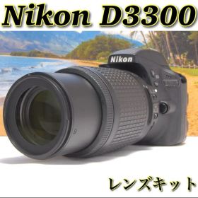 S数少なめ✨Nikon D3300 望遠レンズ付き レンズキット 手ぶれ補正付き