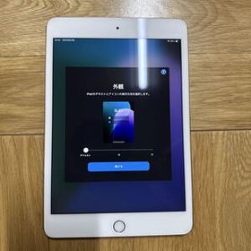 iPad mini 2019 (第5世代) 訳あり・ジャンク 10,000円 | ネット最安値