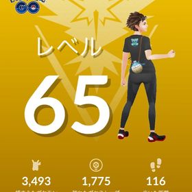 引退品今日から１週間特別価格‼️ | ポケモンGOのアカウントデータ、RMTの販売・買取一覧