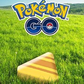シャナさま専用 | ポケモンGOの代行、RMTの販売・買取一覧