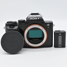 SONY α7ボディ ILCE-7 ショット数 47038回(ミラーレス一眼)