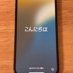 【Apple Store】iPhone12pro 本体 ケース、箱、ケーブル付