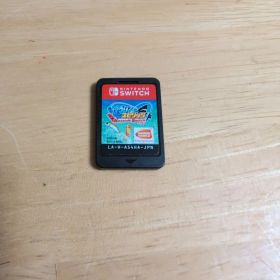 任天堂スウィッチ 釣りスピリッツ