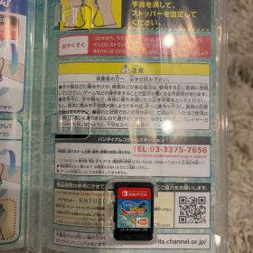 Nintendo Switch ソフト 釣りスピリッツ