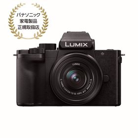 [新品]Panasonic パナソニック LUMIX G100D Kキット 標準ズームレンズ(DC-G100DK-K)