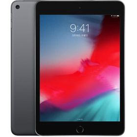 iPad mini(第5世代) Wi-Fi 256GB (スペースグレイ) [MUU32J/A]（本体状態難） タブレット端末