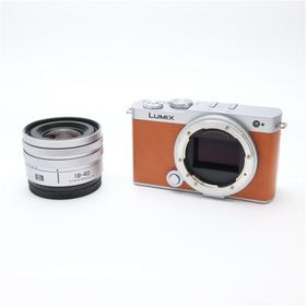 《美品》Panasonic LUMIX S9 広角ズームレンズキット DC-S9N-D