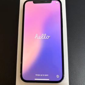 Apple iPhone 12 本体