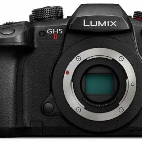 パナソニック(Panasonic)ミラーレス一眼カメラルミックスGH5M2ボディブラックDC-GH5M2