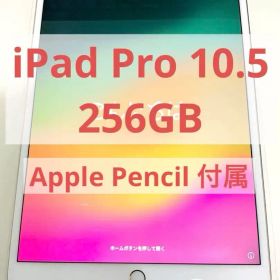 iPad pro 10.5 256GB Apple Pencil